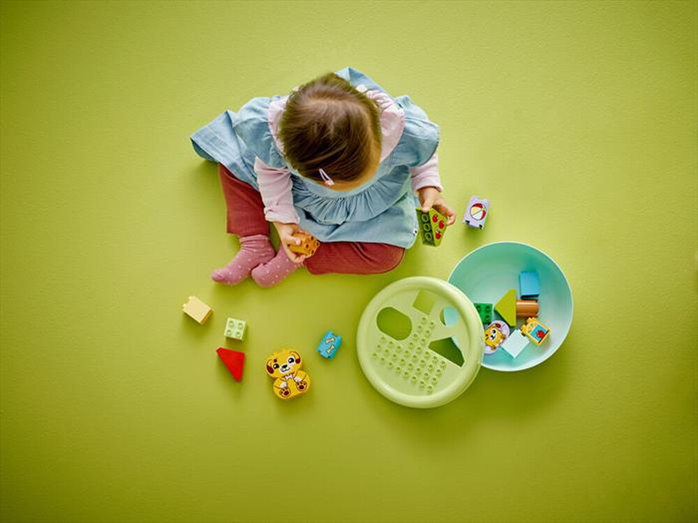 "LEGO - DUPLO Smista-forme: casetta del cucciolo - 10441"