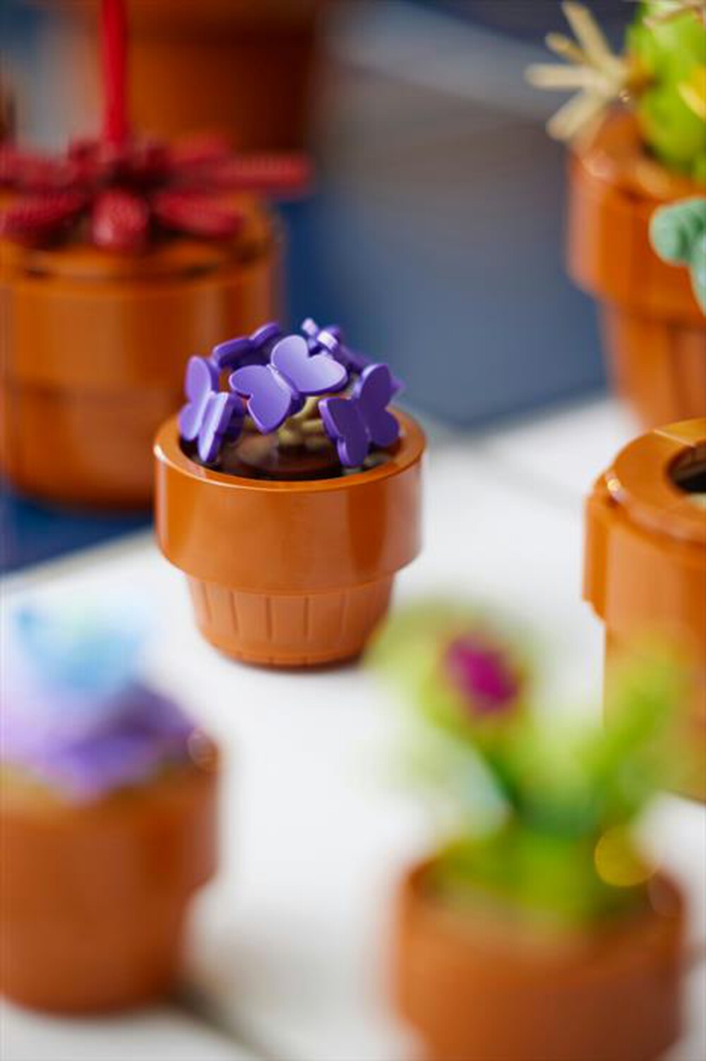 Immagine del prodotto LEGO - BOTANICALS Piantine 10329