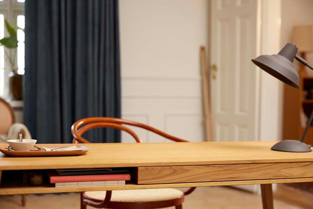 Immagine del prodotto LEGO - ICONS Macchina volante di Leonardo da Vinci 10363