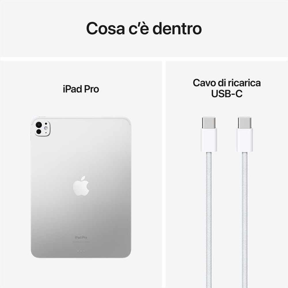 "APPLE - iPad Pro 11'' Wi-Fi 2TB Standard glass-Argento"