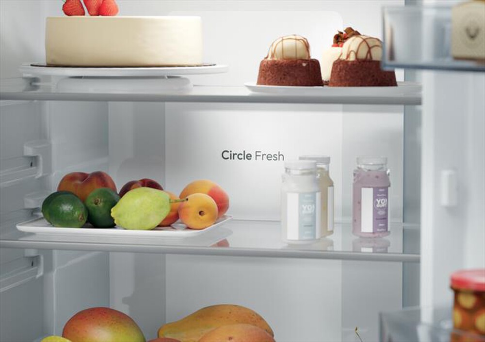 Immagine del prodotto CANDY - Frigorifero combinato CNBQT3719EW Classe E 382 lt-Bianco