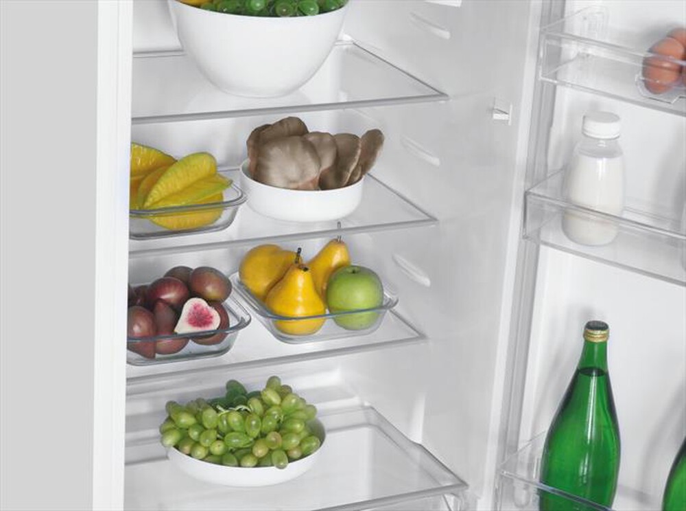 Immagine del prodotto CANDY - Frigorifero 2 porte CFBD24505EH Classe E 205 lt-Bianco