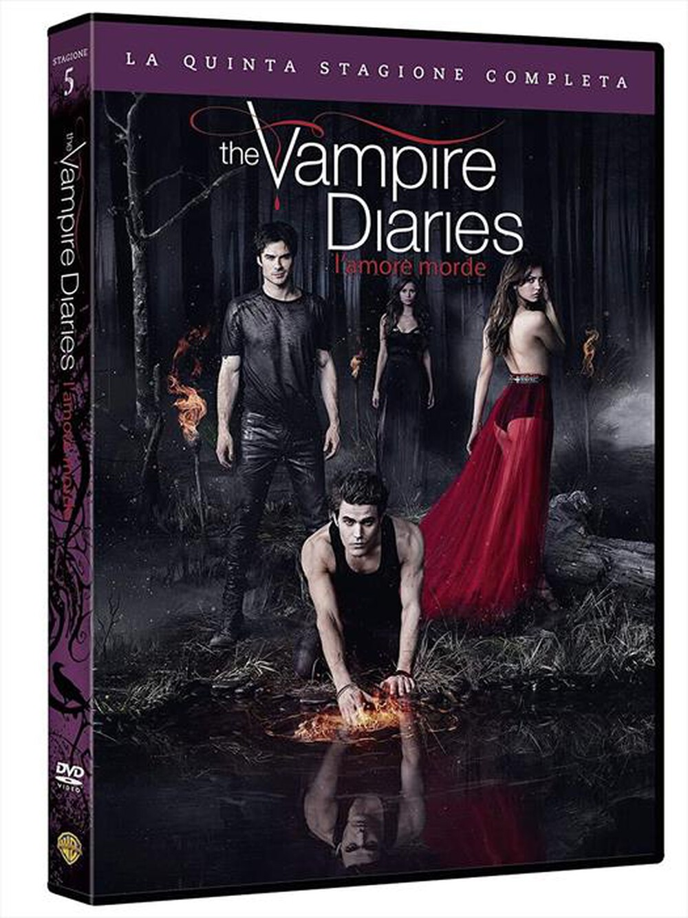 "WARNER HOME VIDEO - Vampire Diaries (The) - Stagione 05 (5 Dvd)"