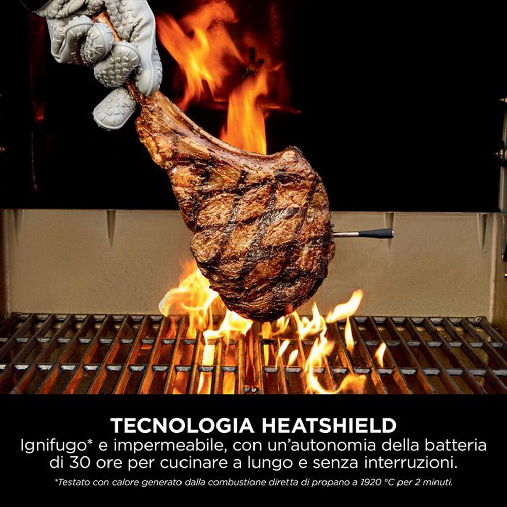 Immagine del prodotto NINJA - SONDA DIGITALE PROCHEF-Nero/acciaio