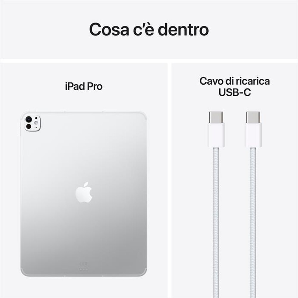 Immagine del prodotto APPLE - iPad Pro 13" M5 WiFi + Cellular 256GB-Argento