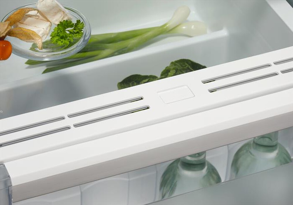 "ELECTROLUX - Frigorifero 1 porta ERD6DE18S Classe E 310 lt"