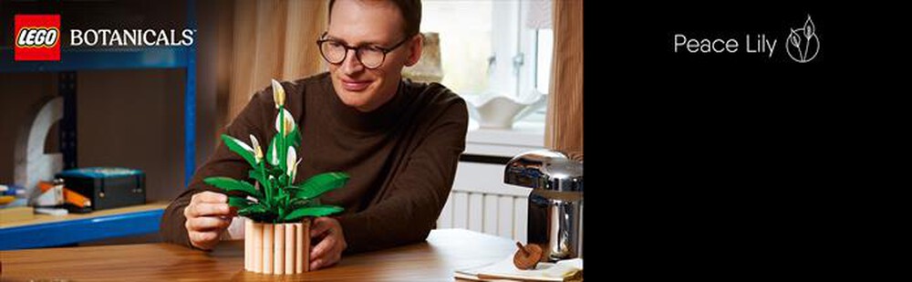 Immagine del prodotto LEGO - BOTANICALS Spatifillo - 11504