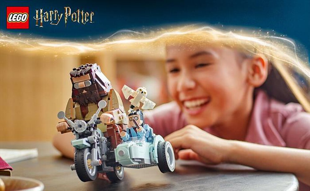 Immagine del prodotto LEGO - HARRY POTTER Giro sul sidecar Hagrid e Harry 76443