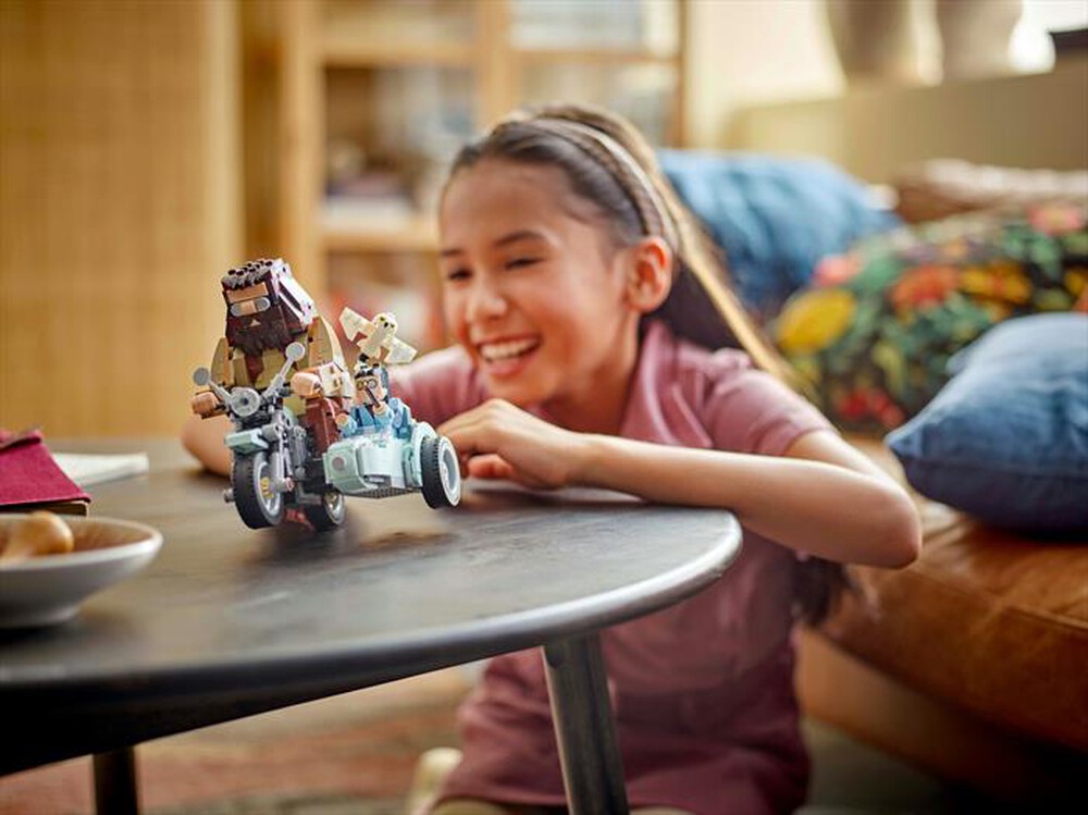 Immagine del prodotto LEGO - HARRY POTTER Giro sul sidecar Hagrid e Harry 76443