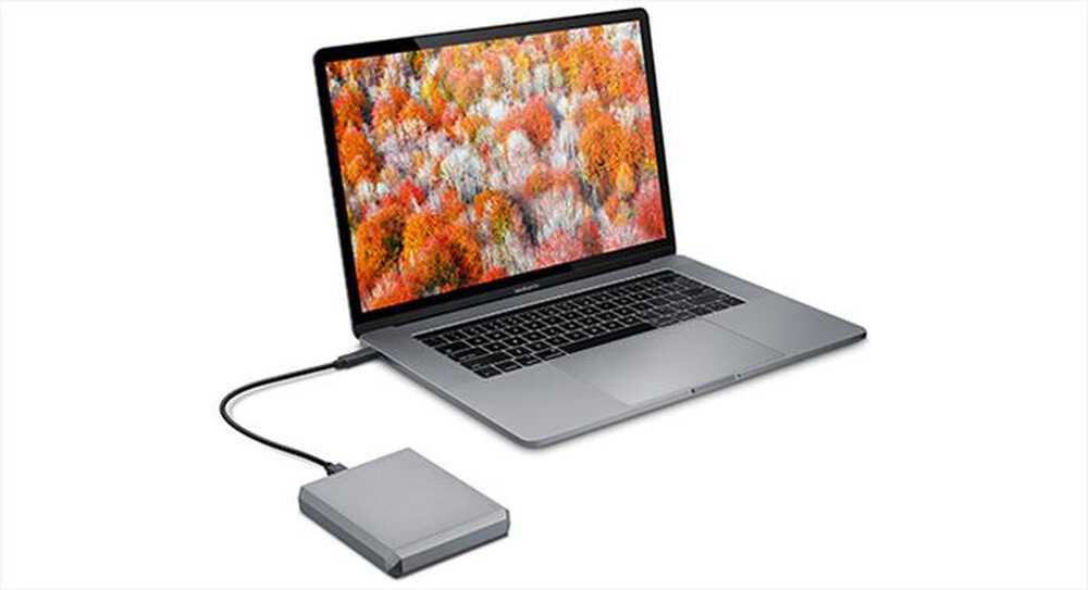 Immagine del prodotto LACIE - HARD DISK PORTATILE CON CONNETTORE USB-C. 4TB-space grey