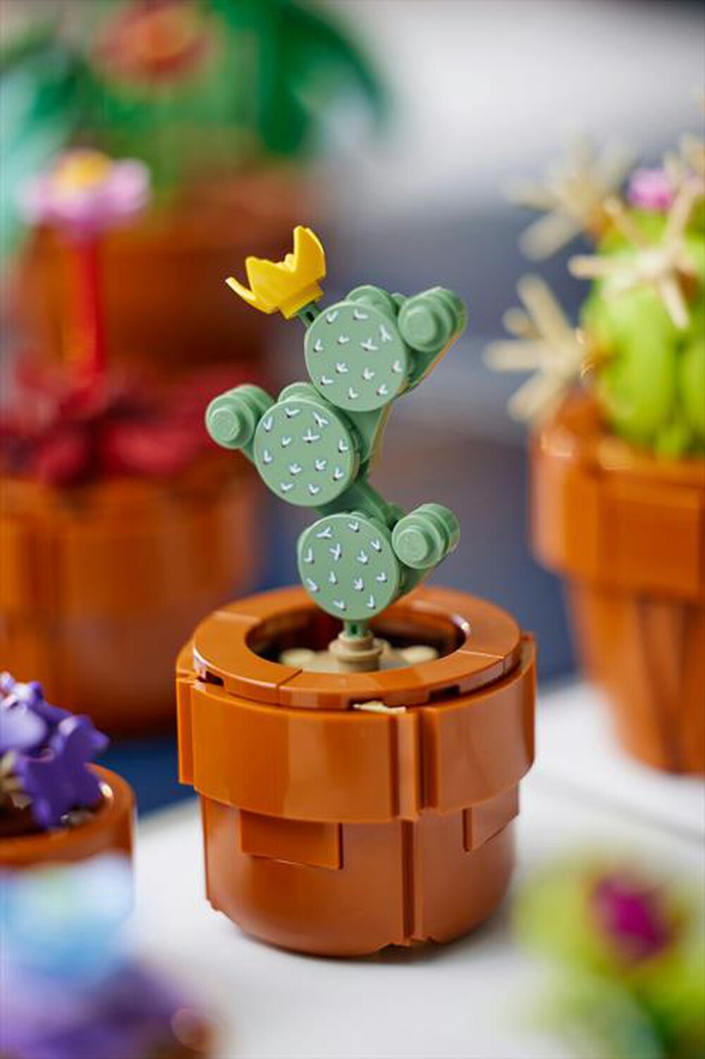 Immagine del prodotto LEGO - BOTANICALS Piantine 10329