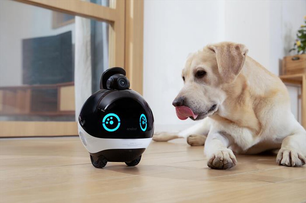 Immagine del prodotto ENABOT - ENABOT EBO X-Nero