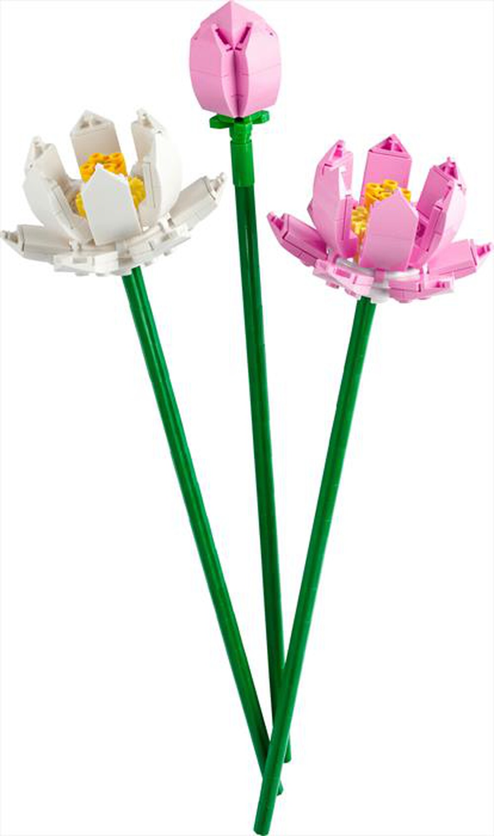 Immagine del prodotto LEGO - BOTANICALS Fiori di loto 40647