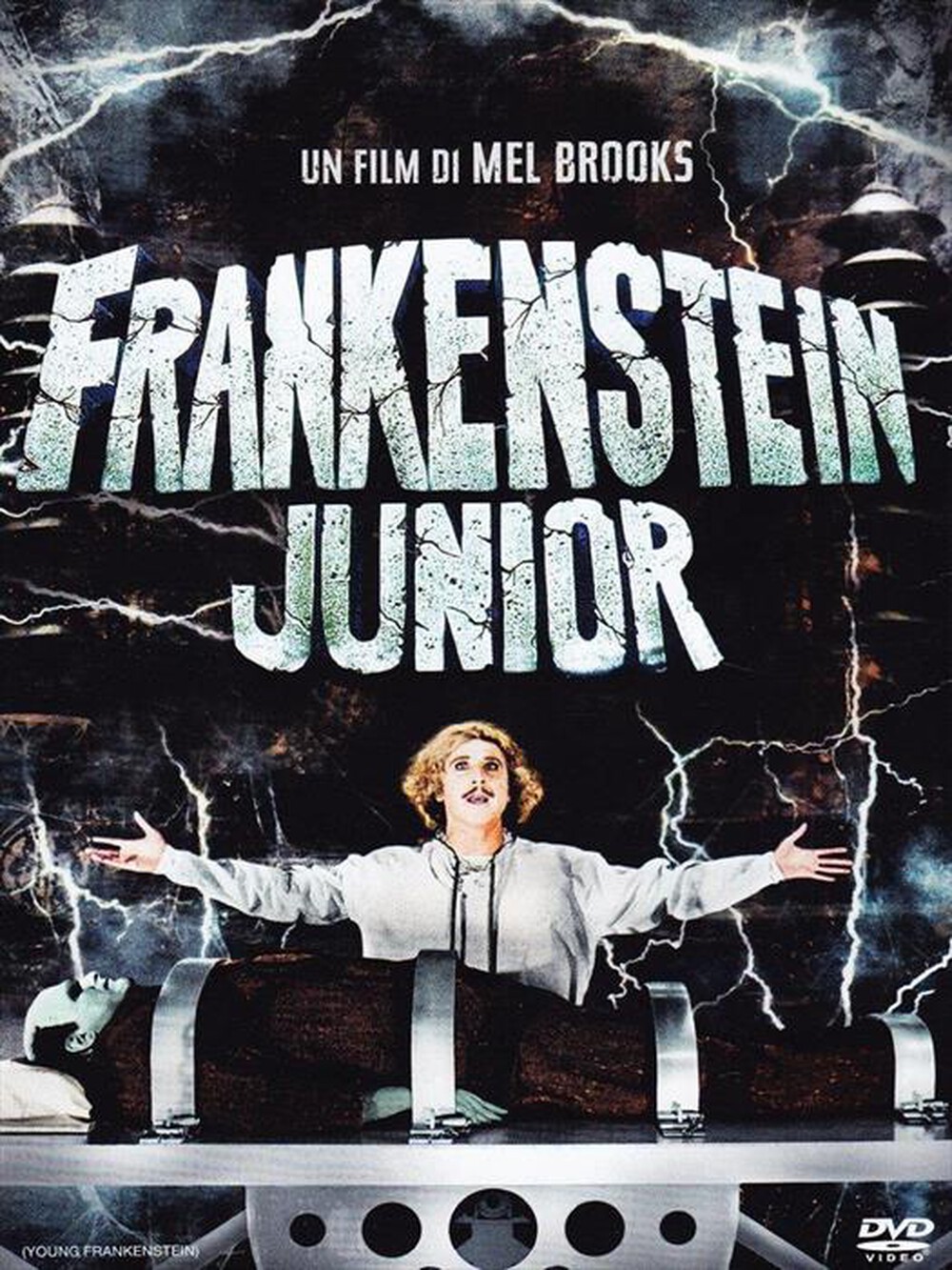 Immagine del prodotto EAGLE PICTURES - Frankenstein Junior (SE 40o Anniversario)