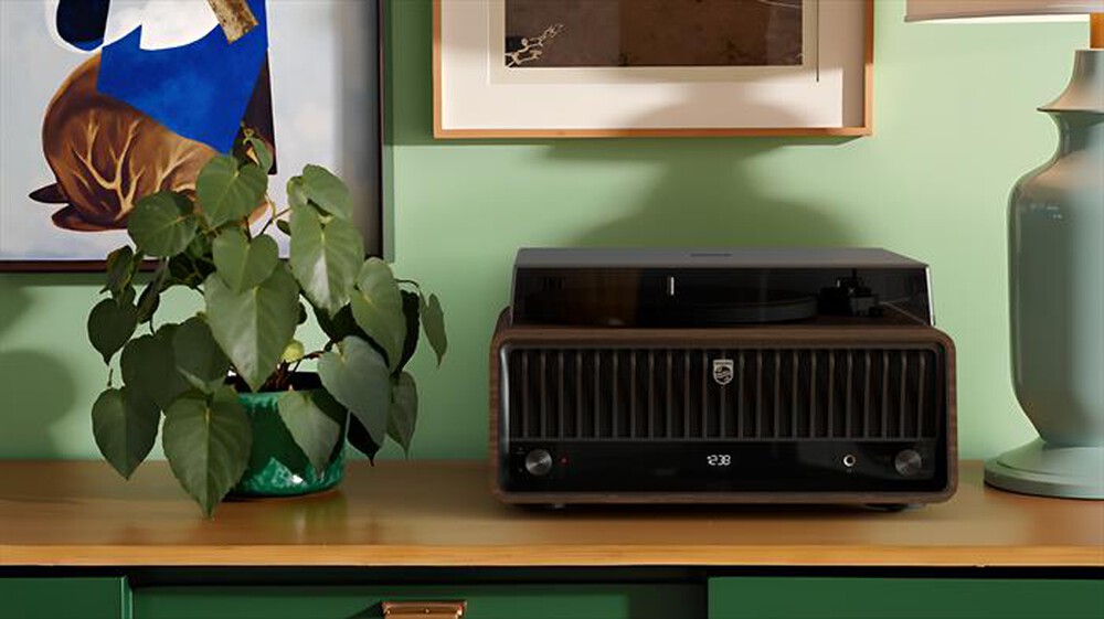 Immagine del prodotto PHILIPS - TAV9000D/10-Brown