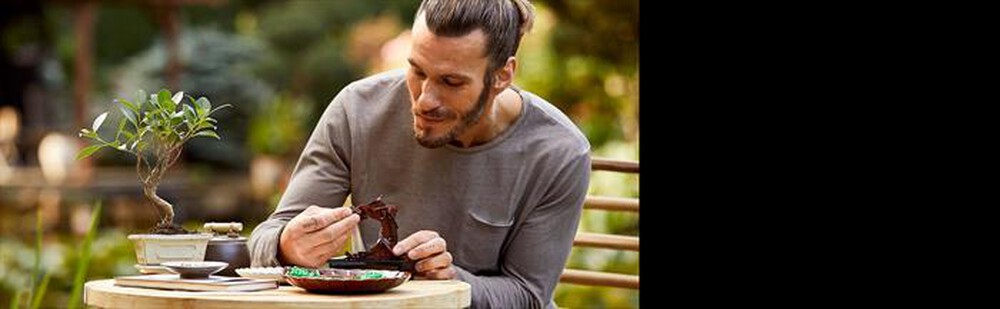 Immagine del prodotto LEGO - CREATOR L'ALBERO