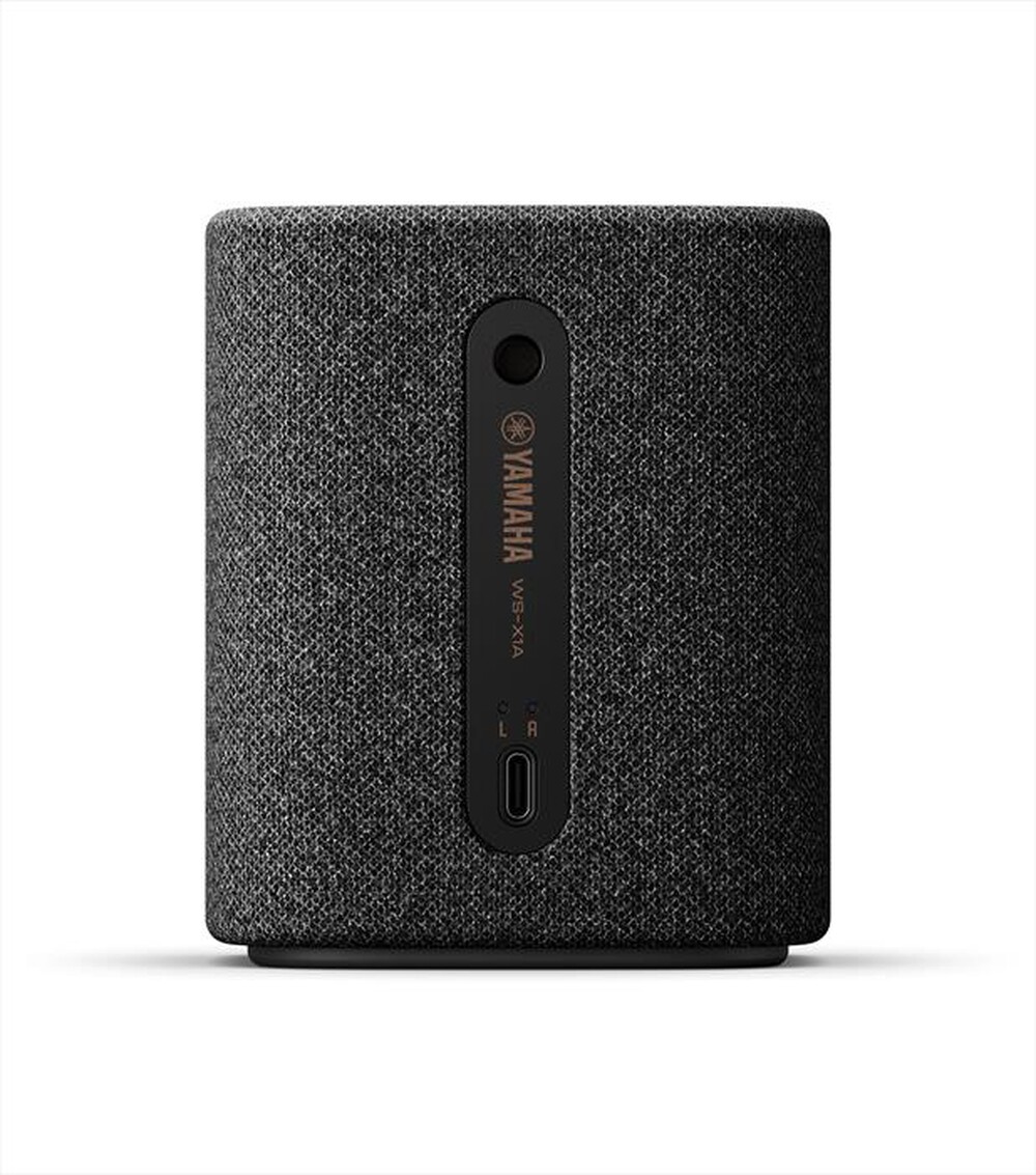"YAMAHA - Speaker WS-X1ACGY-Carbon Gray"