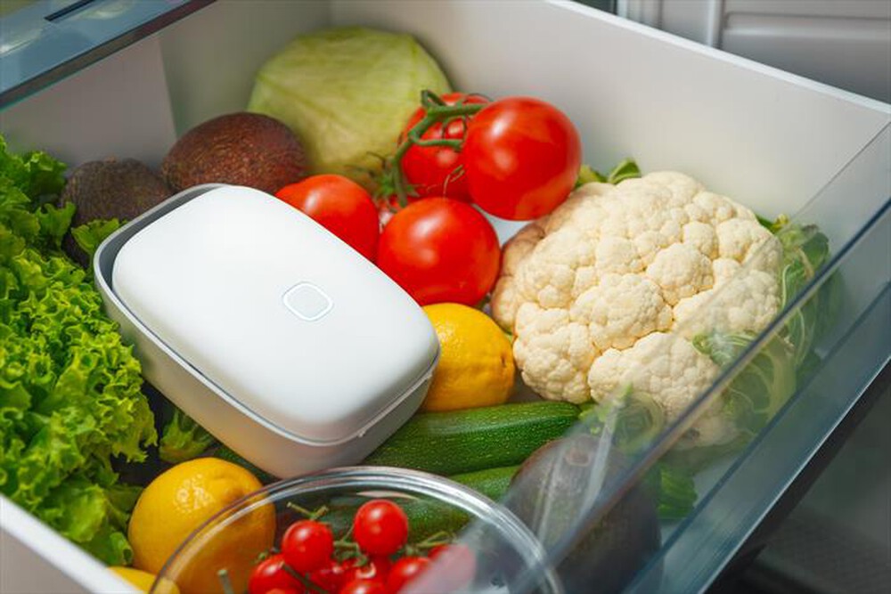 Immagine del prodotto VITESY - Dispositivo smart per frigorifero SHELFY