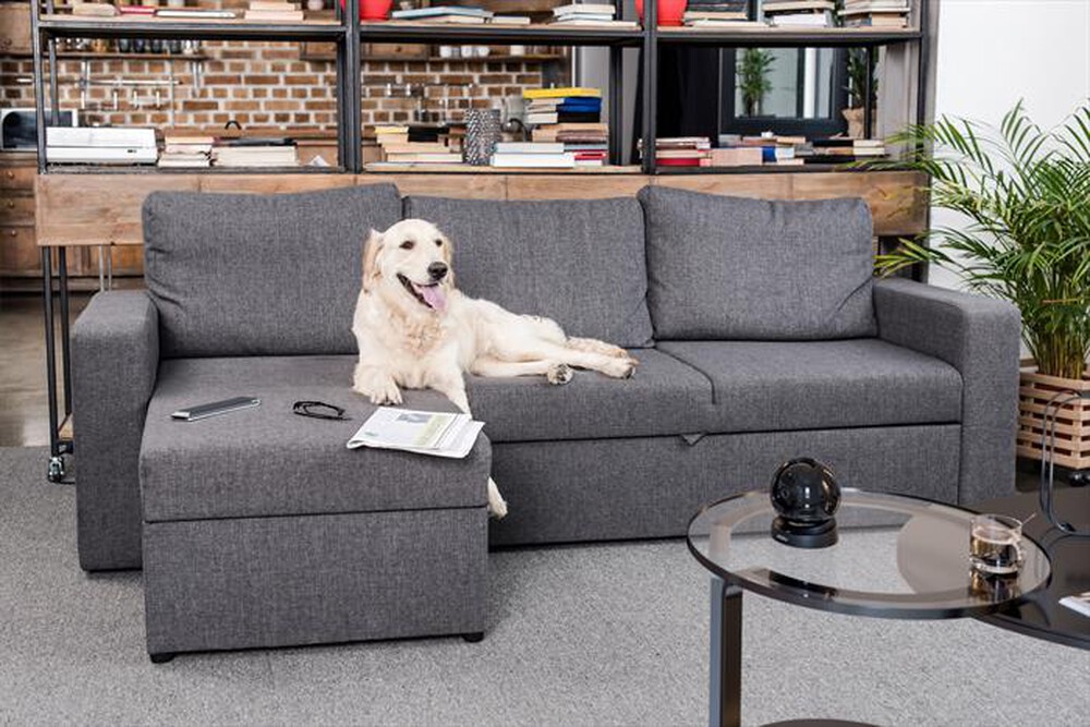 Immagine del prodotto IMOU - Telecamera da interno motorizzata REX 3D 2K-NERO