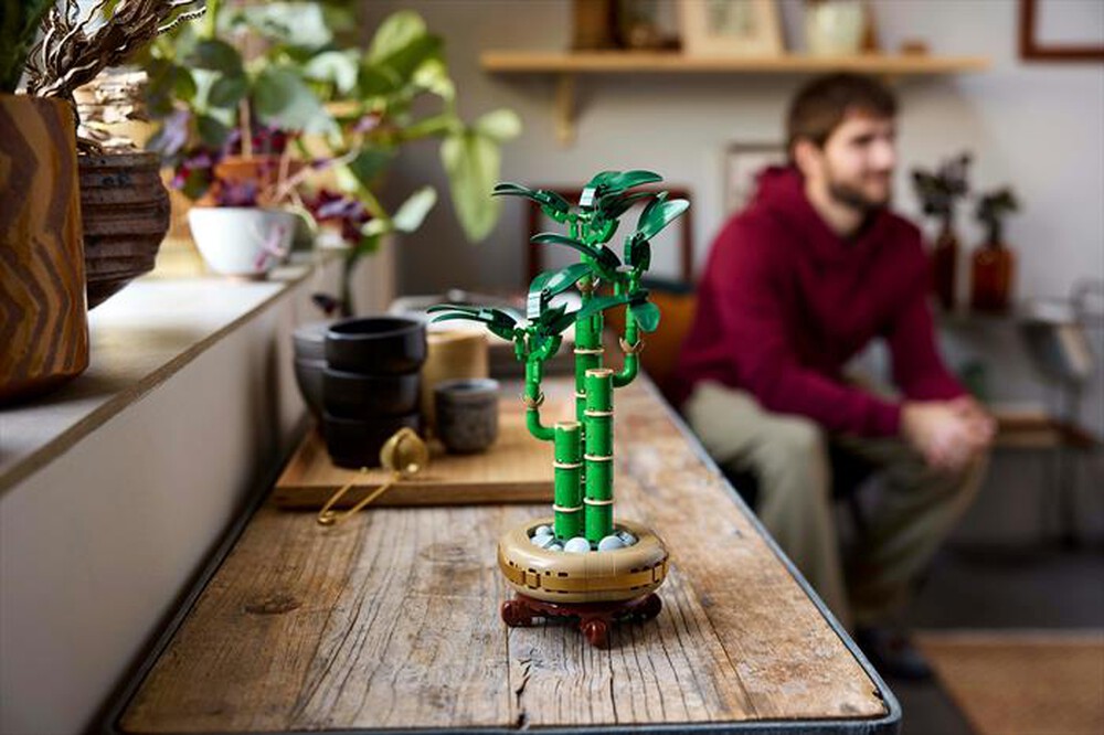 Immagine del prodotto LEGO - BOTANICALS Bamb&ugrave; del buon auspicio 10344