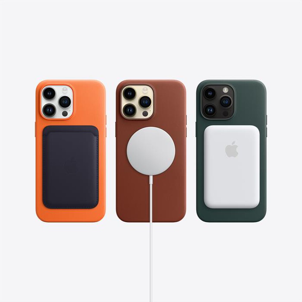 "WIND - 3 - APPLE iPhone 14 Pro Max 256GB-Argento"