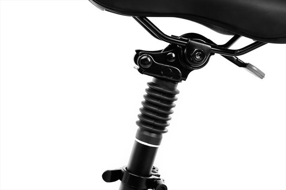 "ARGENTO - E-BIKE MINIMAX GT"