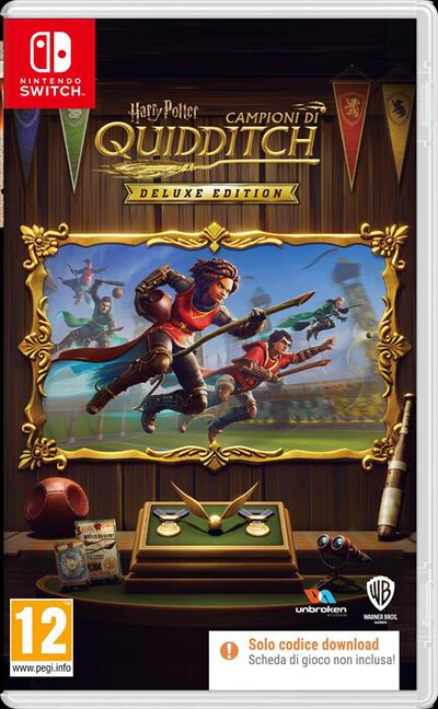 WARNER GAMES - HARRY POTTER: CAMPIONI DI QUIDDITCH NS