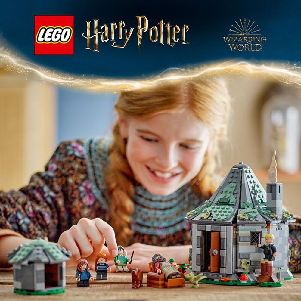 Immagine del prodotto LEGO - HARRY POTTER Capanna Hagrid visita inattesa 76428
