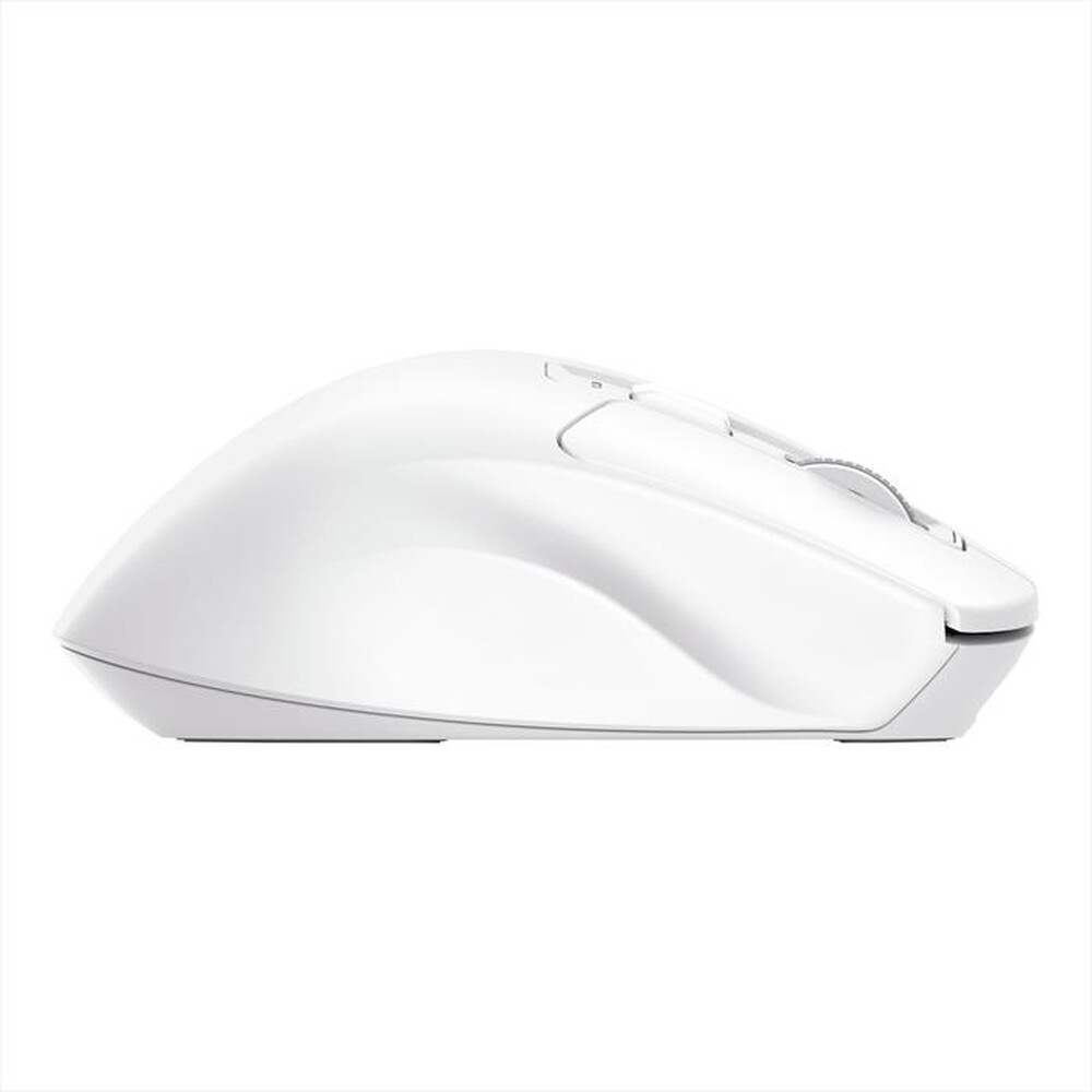 Immagine del prodotto TRUST - NIVEN COMFORT MULTI-WRLS MOUSE WHT-White
