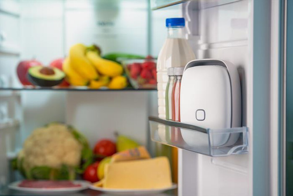 Immagine del prodotto VITESY - Dispositivo smart per frigorifero SHELFY