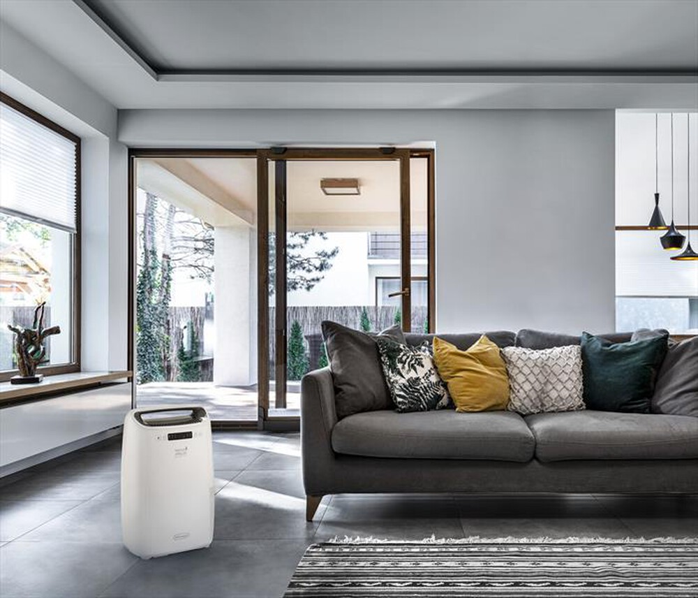 Immagine del prodotto DE LONGHI - DEXD214F-Bianco
