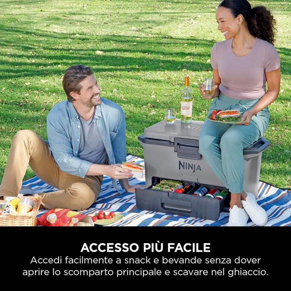 "NINJA - FRIGO PORTATILE FROSTVAULT 47LT-Grigio"