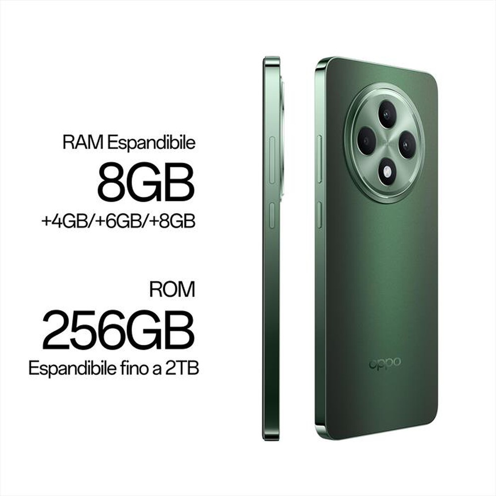 "OPPO - RENO12 F 5G 8+256-Black Green"