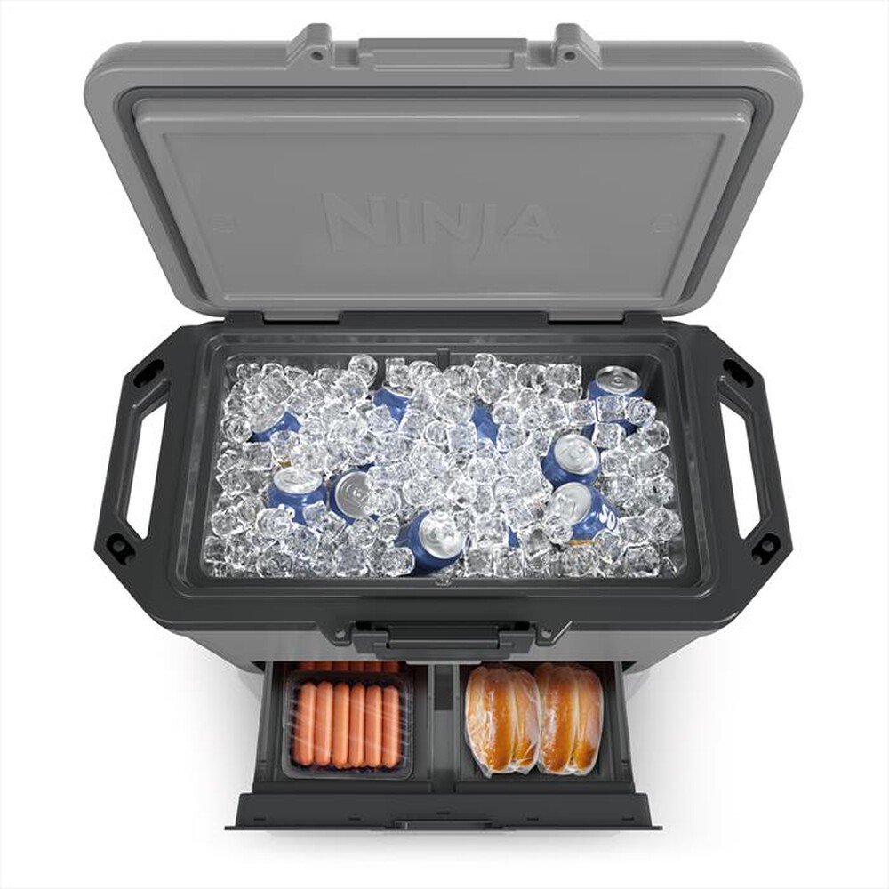 "NINJA - FRIGO PORTATILE FROSTVAULT 47LT-Grigio"