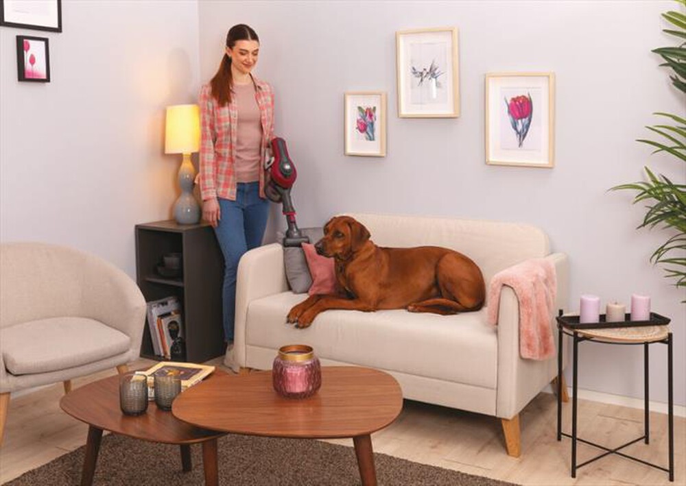 "HOOVER - Aspirapolvere ricaricabile HF110P 011-Viola"