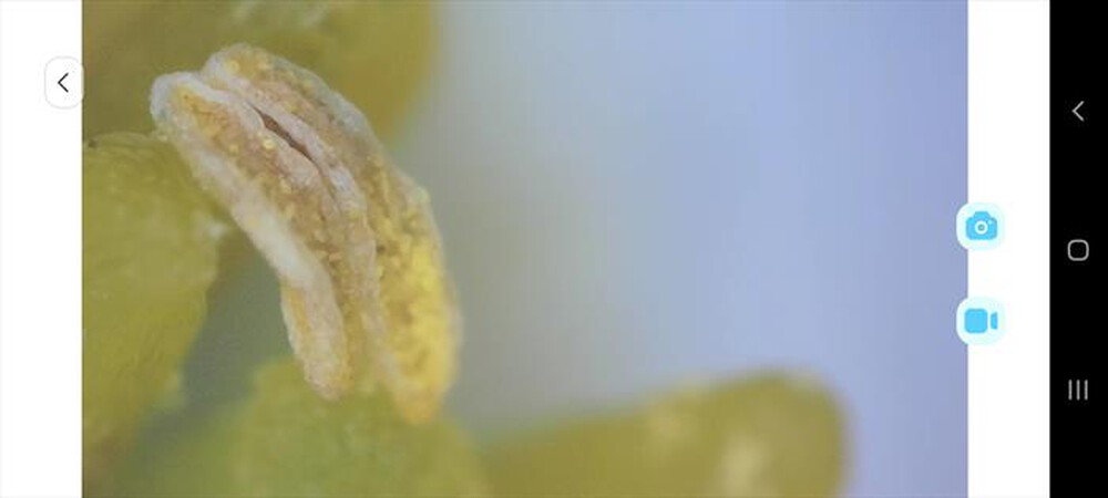 "DIPROGRESS - Microscopio SMART M1A-bianco"