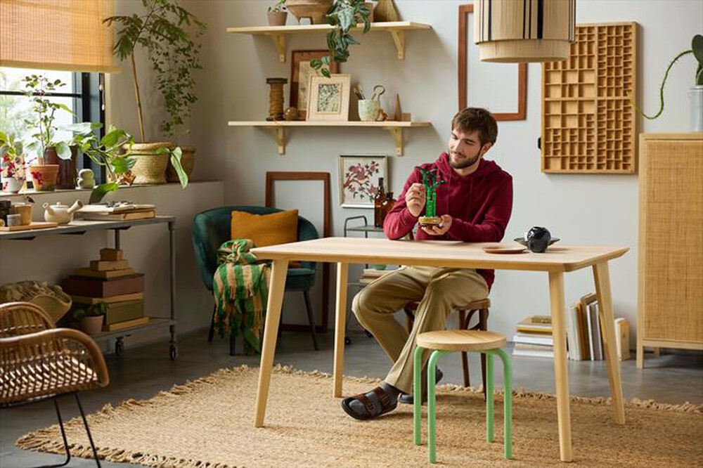 Immagine del prodotto LEGO - BOTANICAL COLLECTION Bambù del buon auspicio 10344