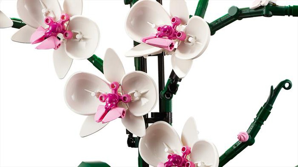 Immagine del prodotto LEGO - BOTANICALS Orchidea 10311