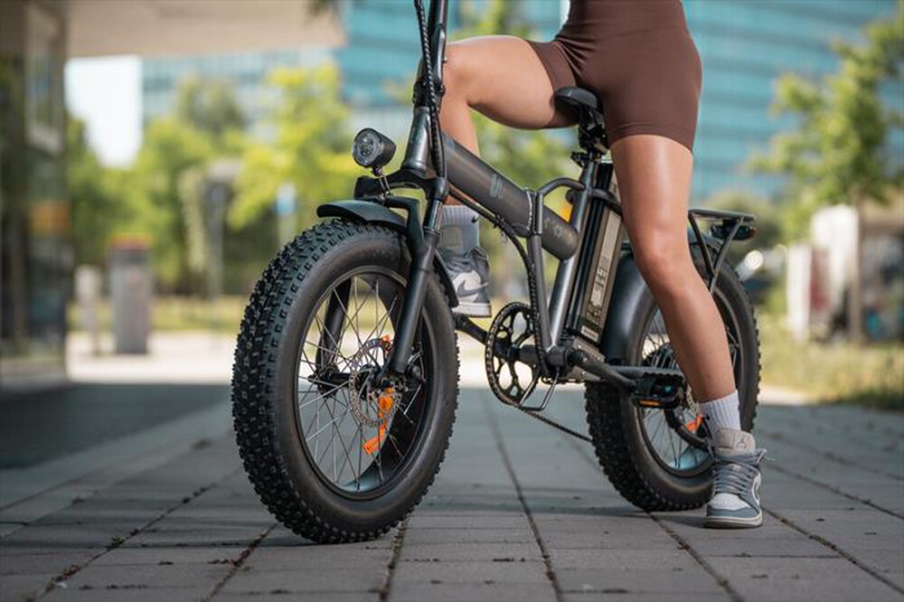 Immagine del prodotto SMARTWAY - Folding Bike M1XR548SLT-Matt Titanium
