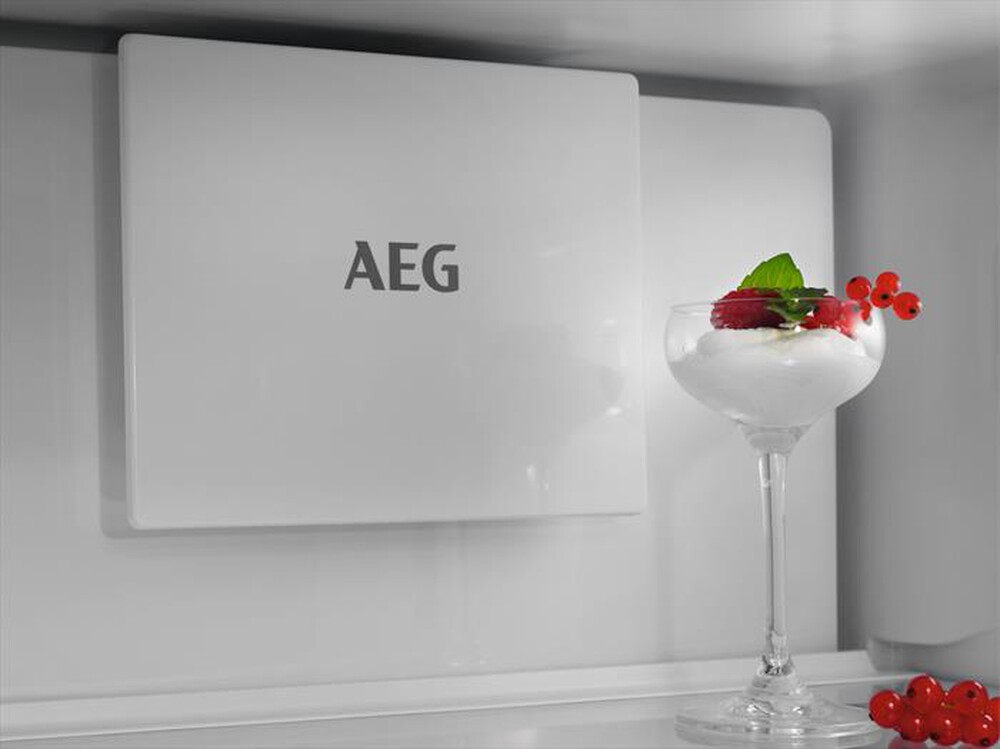 Immagine del prodotto AEG - Frigorifero combinato incasso TC6MS18FDS Classe D-Bianco