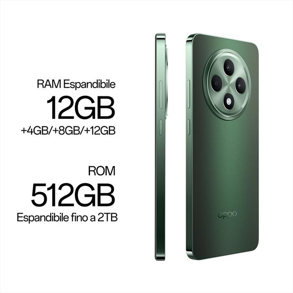 "OPPO - Smartphone RENO12 FS 5G 12+512-BLACK GREEN"