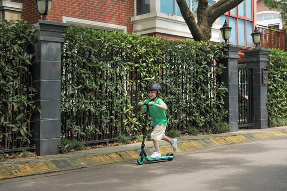 "SEGWAY - ZING A6-Mint/Black"