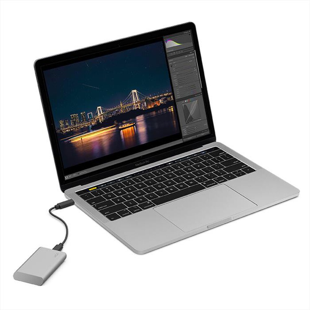 "LACIE - 2TB LACIE PORTABLE SSD USB-C-GRIGIO"