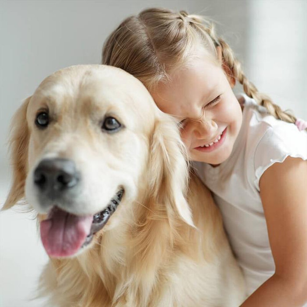 Immagine del prodotto ARIETE - Steam Mop Foldable 10 in 1 4175-Blu, Bianco