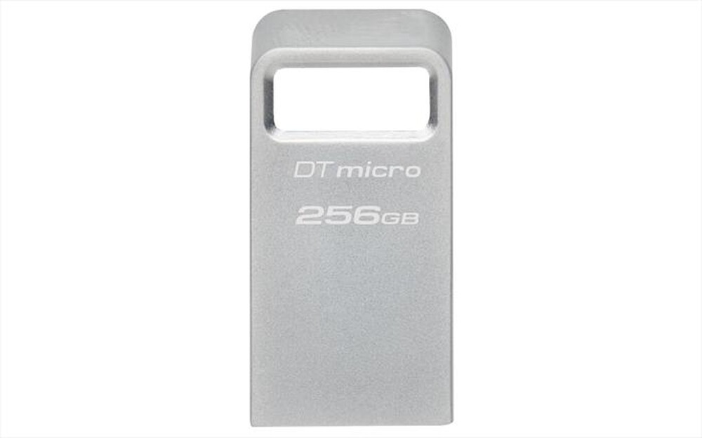 Immagine del prodotto KINGSTON - Memoria 256 GB DTMC3G2/256GB-SILVER