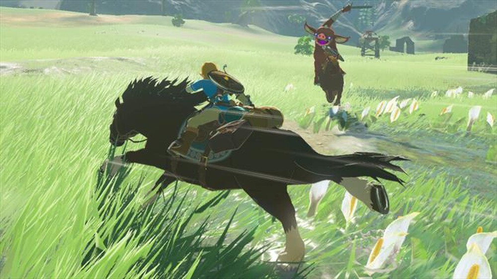 Immagine del prodotto NINTENDO - THE LEGEND OF ZELDA: BOTW - CODICE DOWNLOAD