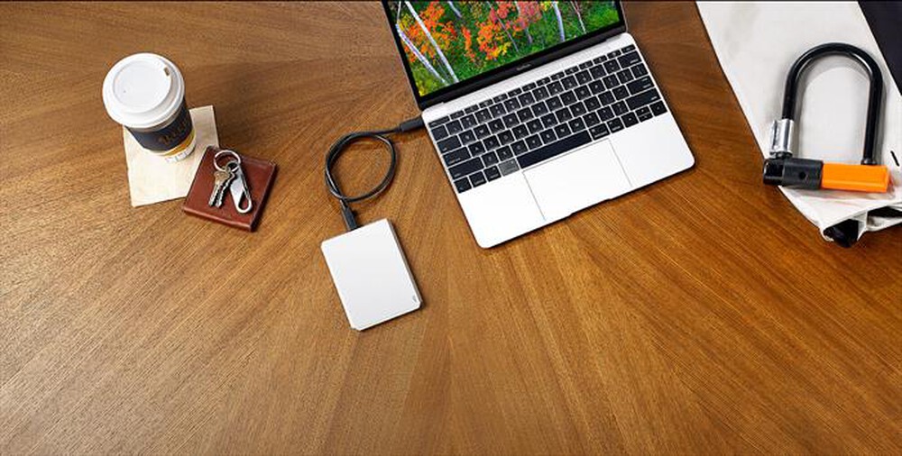 "LACIE - HARD DISK PORTATILE CON CONNETTORE USB-C. 4TB-moon silver"
