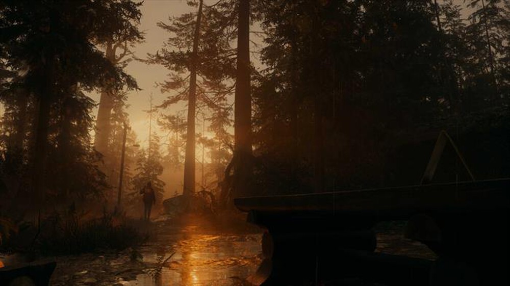 "EPIC GAMES - ALAN WAKE 2 (DELUXE EDITION) PS5"