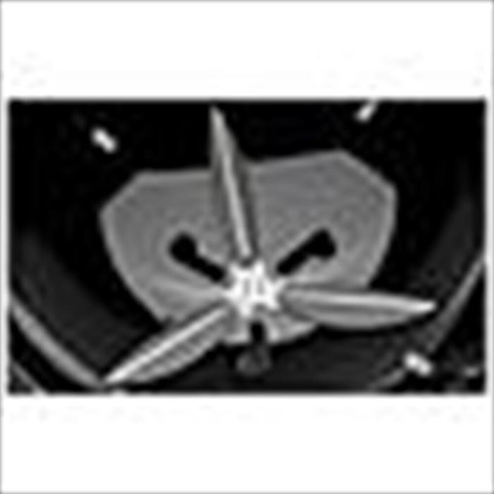 Immagine del prodotto WEBER - Barbecue a carbone MASTER TOUCH PREMIUM SE E-5775-NERO