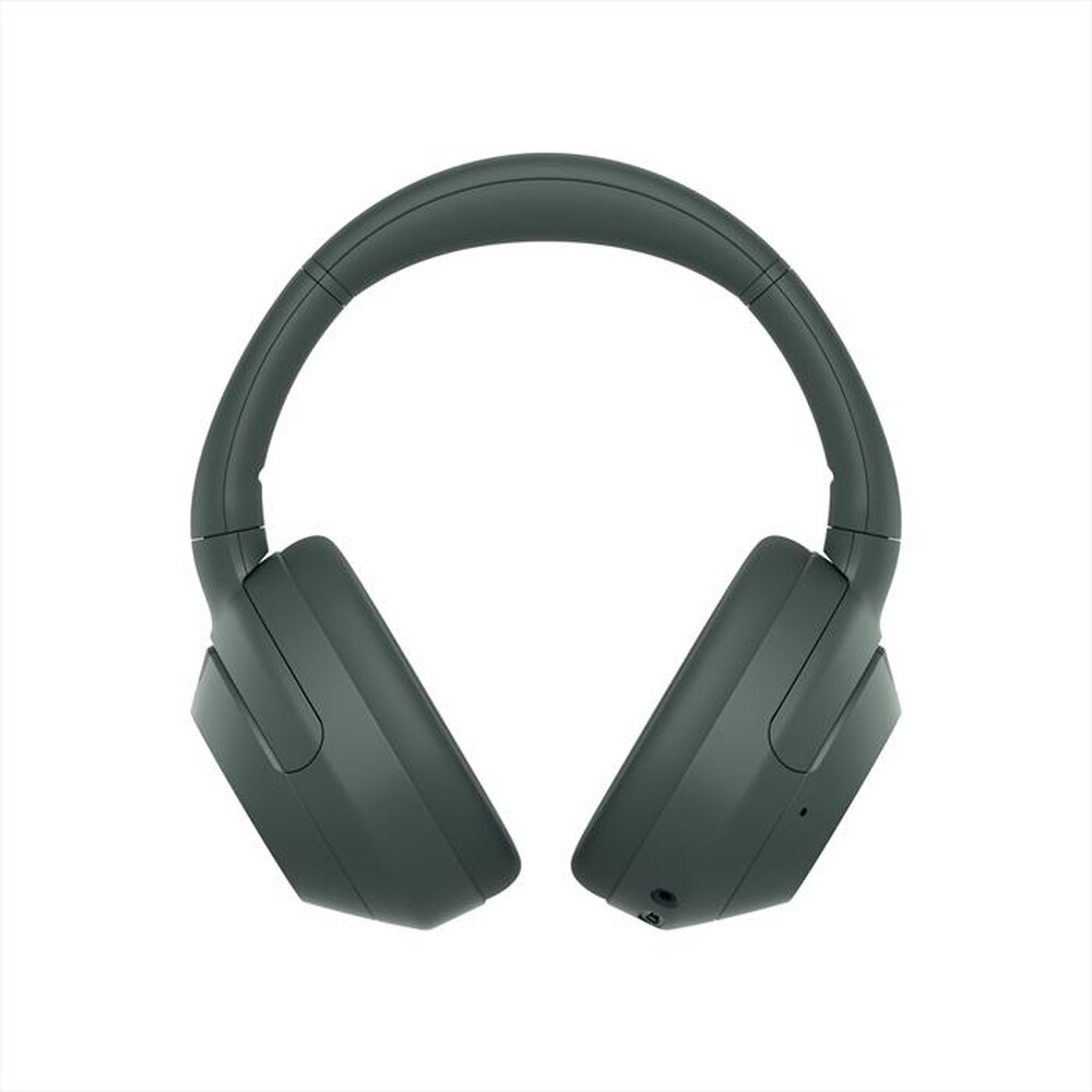 "SONY - Cuffie a padiglione chiuso WHULT900NH.CE7-Grigio Foresta"